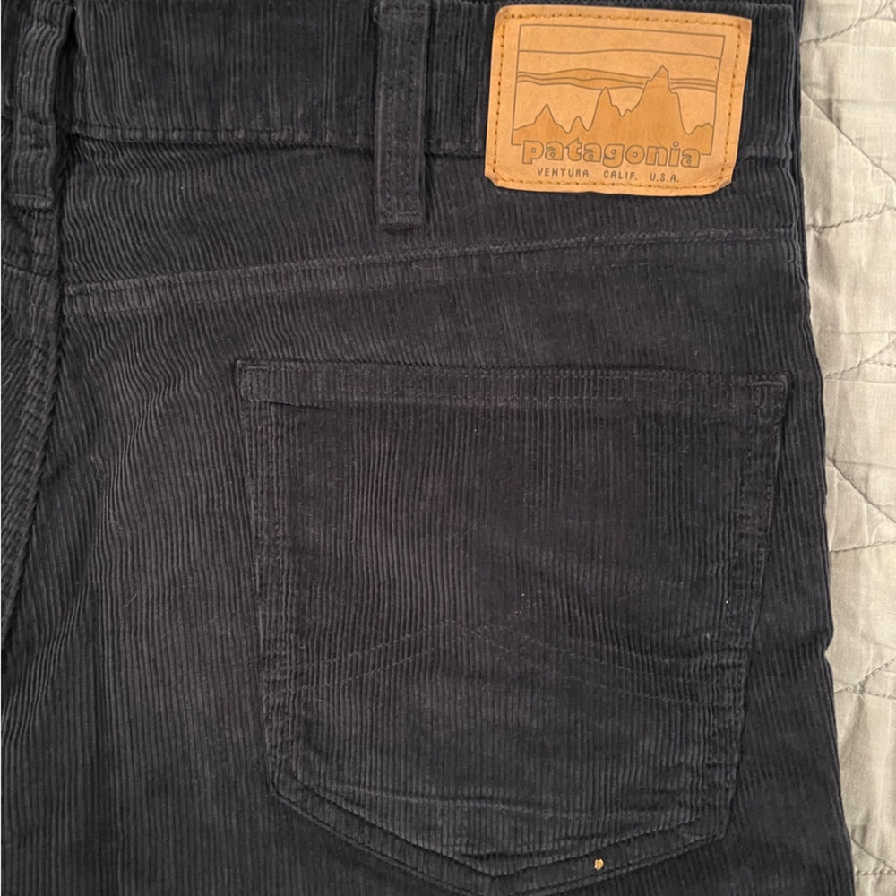 Patagonia Men's Dark Corduroy Pants